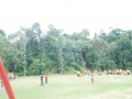 Tn DSC 6276